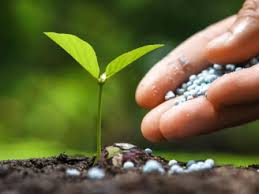 Agriculture
