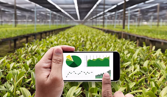 Sustainable Farming