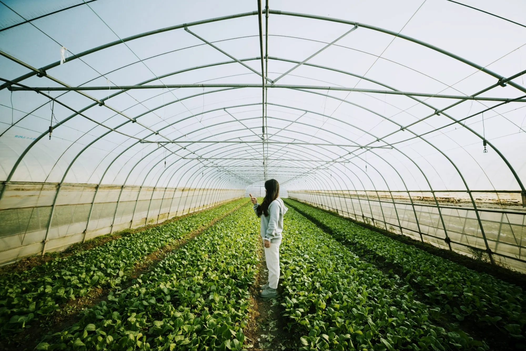 Sustainability